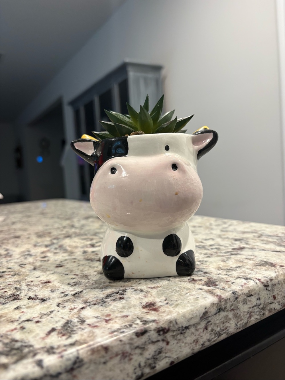 Ceramic Cow Planter - White and Black
